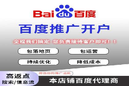 解析百度搜索推广的广告投放策略及效果